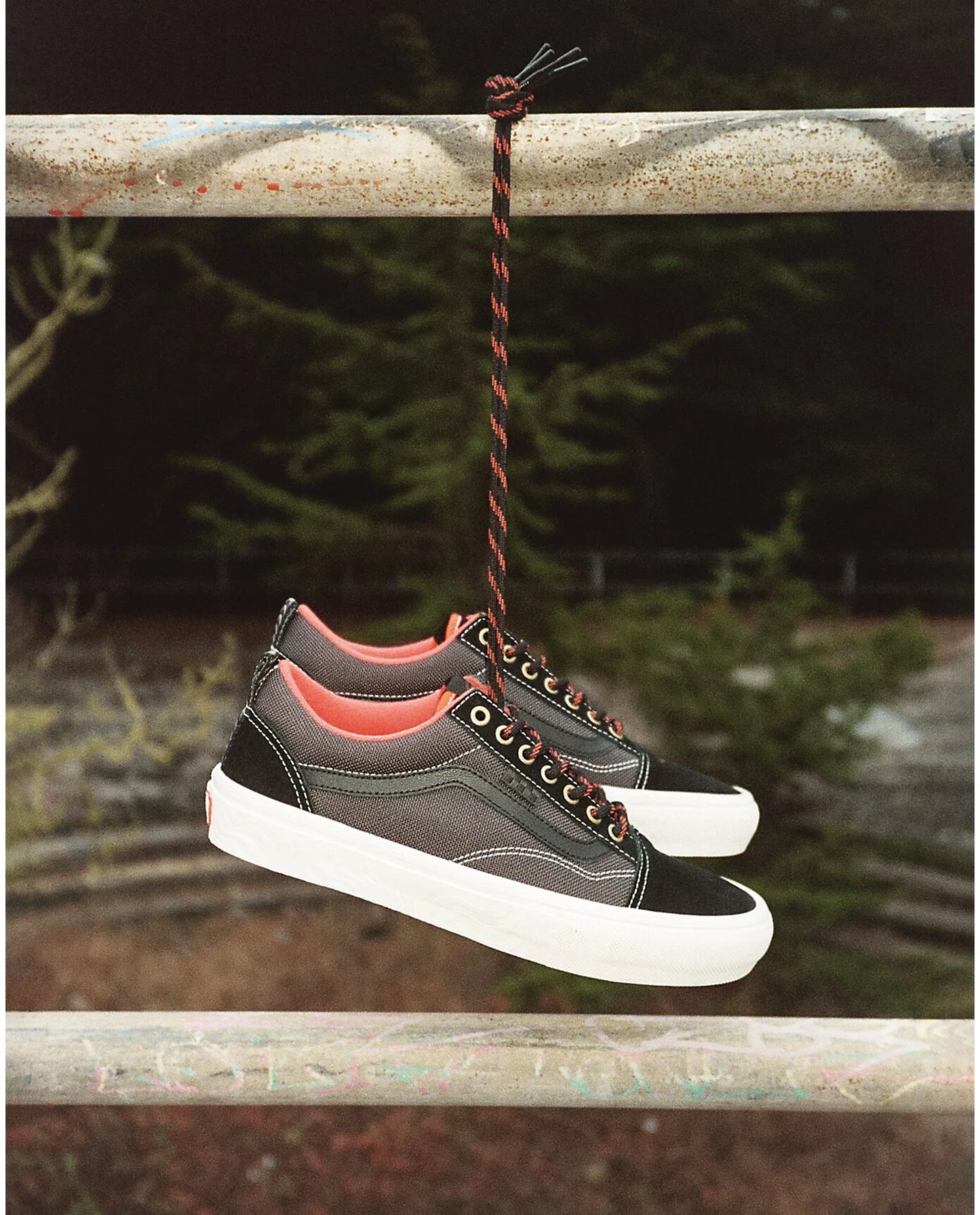 Vans shoes